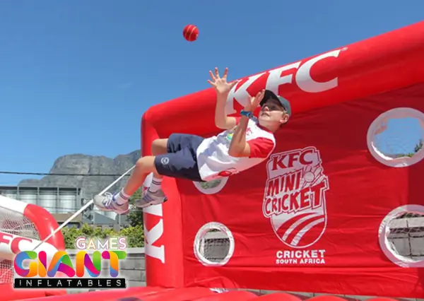 Cricket-play-games-inflatable
